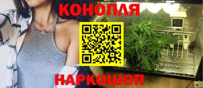 прущие крисы Ярославль
