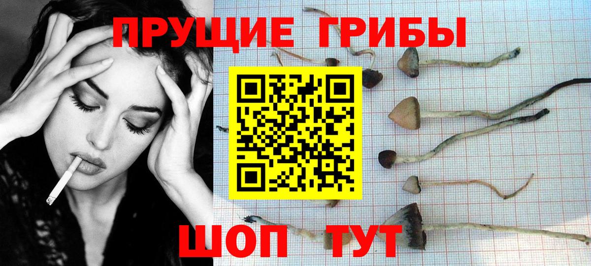 Галлюциногенные грибы прущие грибы Артём